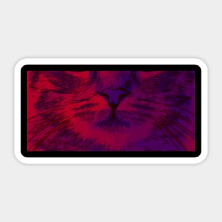 Cool cute style crazy cat Sticker